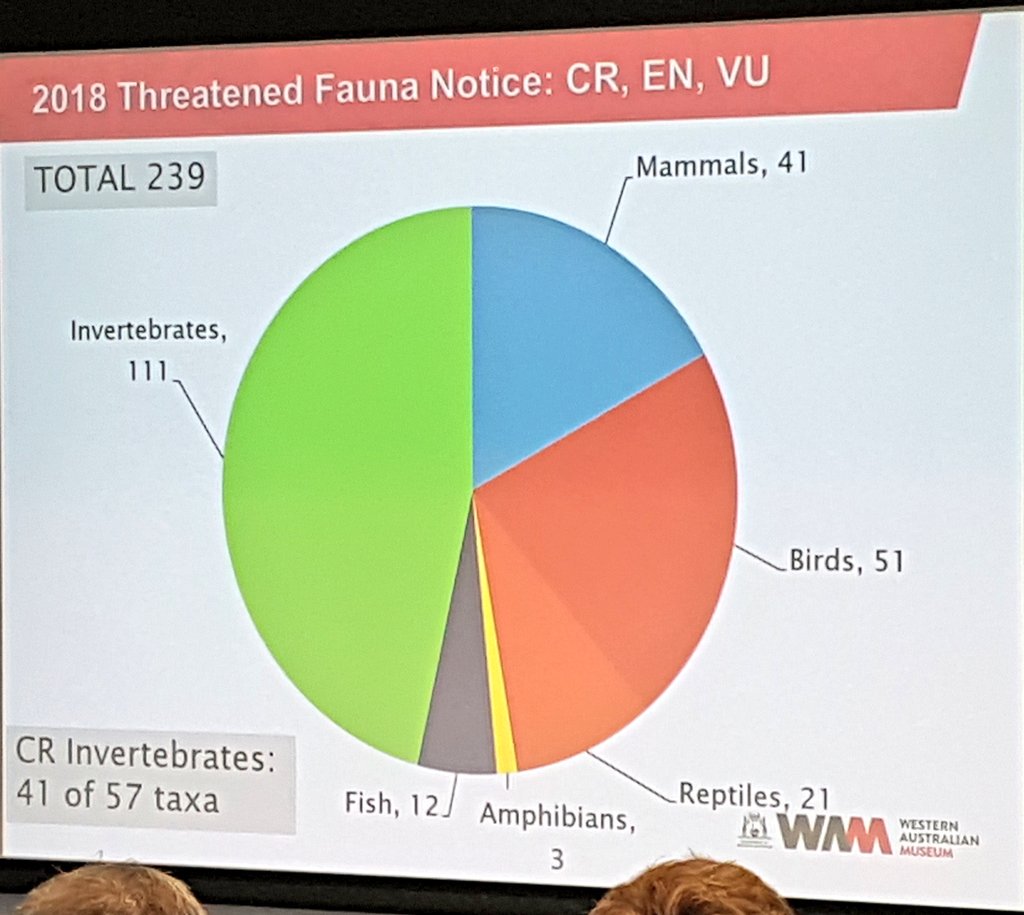 2018 threatened fauna in WA: almost half are #invertebrates and very little research is being done to address #knowledgegaps to improve #conservation! Short range endemics are the best targets to change this #knowledgeshortfall says Mark Harvey of @wamuseum.
#TSforumWA