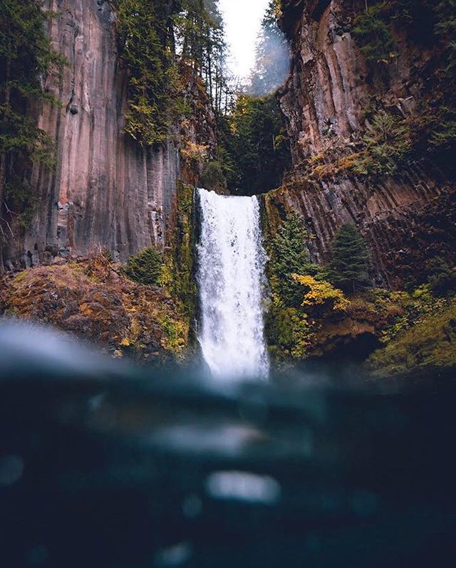 PeopleOfLogan's tweet photo. #waterfall
📷: @ky_ferguson https://t.co/d7Ph0jC3Gg