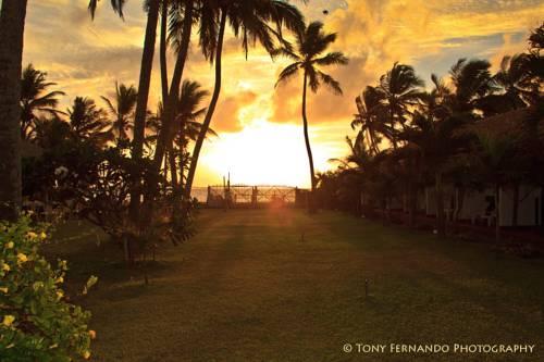 _Cheap_Hotels_'s tweet photo. #Hotel Deals in #Negombo #CeylonicaBeachHotelNegombo starting at LKR21.94 https://t.co/IumWxEPdcb https://t.co/KUMHsbLAXb