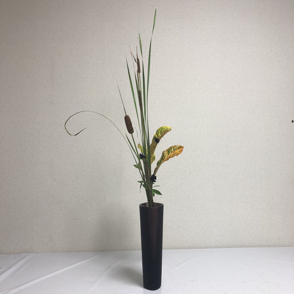眞咲月 V Twitter お稽古 ガマ チョコレートコスモス クロトン 生花 生花正風体 三種生け 池坊 いけばな池坊 いけばな 華道 Ikenobo Ikebana 眞咲月 V Twitter お稽古 ガマ チョコレートコスモス クロトン 生花 生花正風体 三種生け 池坊 いけばな池坊 いけばな 華道 Ikenobo Ikebana