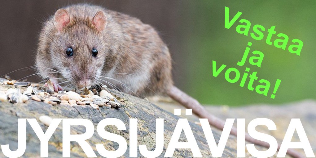 Tukesinfo's tweet image. 🏆Oletko jyrsijätorjunnan ekspertti vailla vertaa? Osallistu suureen jyrsijävisaan.🐭🐭
Arvomme 6 kpl kahden leffalipun pakettia 31.10.2019.
Jyrsijävisa:
fi.surveymonkey.com/r/jyrsijavisa
Vinkkejä:
tukes.fi/luulotpoiskemi…
#luulotpoiskemikaaleista #tuholaistorjunta #biosidit #hiiret #rotat