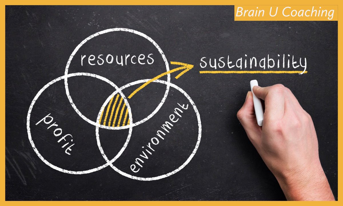 brainucoaching's tweet photo. Stay tuned for our new Bio-Leadership and Smart Mindset Program ♻️🌐🔜 focused on the #tripplebottomline structure and #emotionalintelligence training models. Me and @stormidea are in full busy mode here @brainucoaching as I tweet this 😃 https://t.co/cXJA4DBf36
