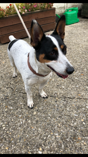 Adur & Worthing Councils tweet media