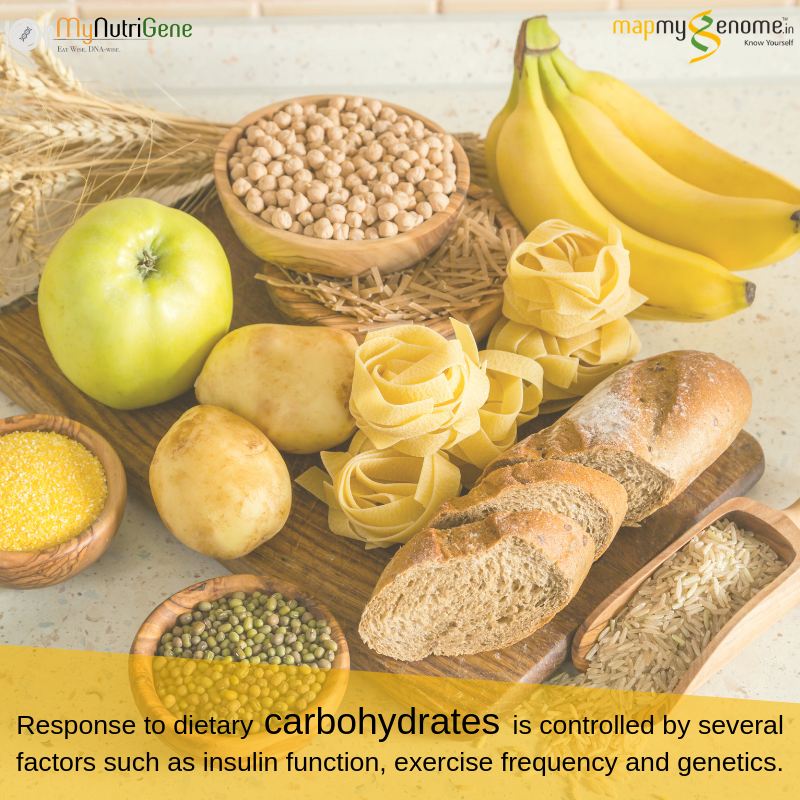 mapmygenome's tweet photo. Decoding your DNA can help you choose the right fuel - stick to healthy carb sources such as potatoes/sweet potatoes, bananas, whole grains beans and legumes. 

Get MyNutriGene to Know Yourself : https://t.co/53xxEyqXx5 

#Mynutrigene #Nutrition #NutritionWeek #Nutrition #Carbs https://t.co/Voxhq7zOQf