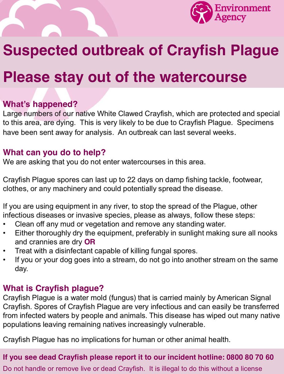 ChrisBaingerEA's tweet photo. A significant number of dead native #crayfish have been found on the Cwm y Caddo a tributary of the river #Monnow #Herefordshire 
We suspect #crayfishplague 
As a precaution please follow our guidance whilst we await confirmation from @CefasGovUK https://t.co/6z3IXEvrVf