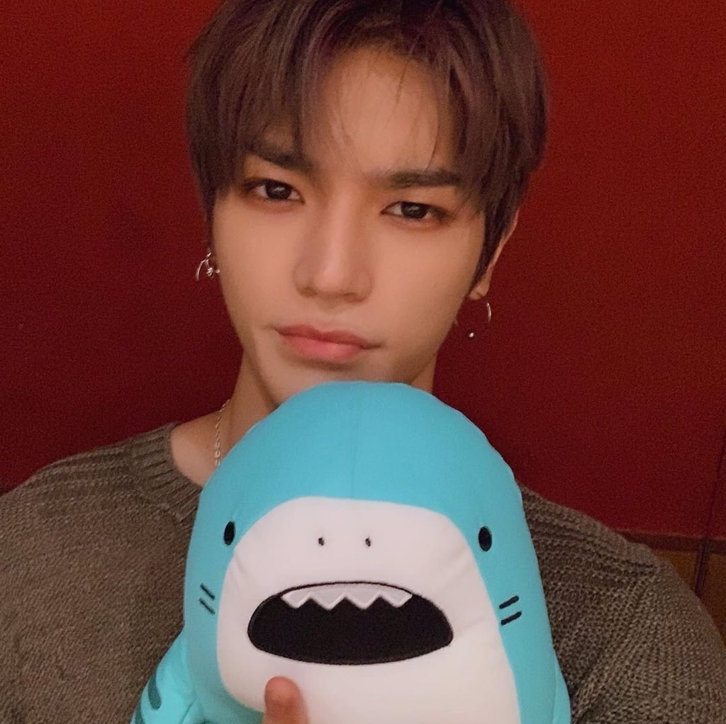 LEE95TY's tweet photo. baby shark https://t.co/7DdbMgoJfQ