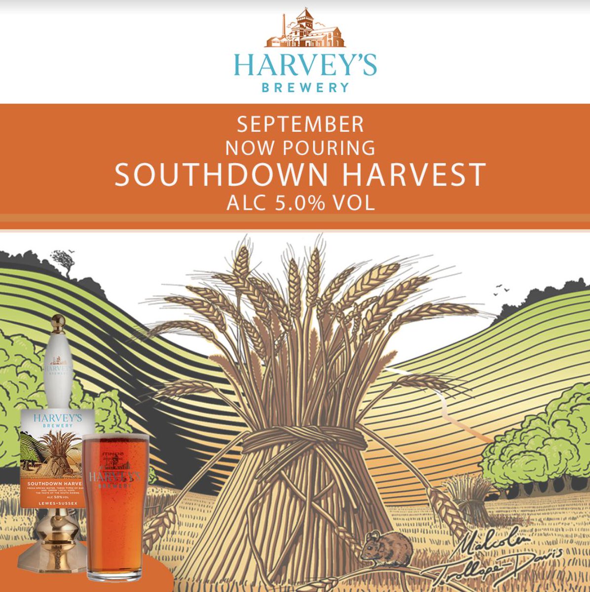 NOW ON 🍺... SOUTHDOWN HARVEST! 

Three types of hop and three different malts culminate on the palate providing soft, sweet biscuit flavours offset with a tangy bitterness from the 'green' hops. A taste of the Southdowns!  

<a href="/Harveys1790/">Harvey's Brewery</a> #Harveys #SouthdownHarvest #SeasonalAle