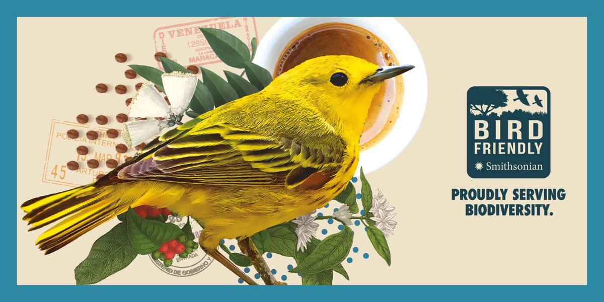 RedstartRoaster's tweet image. We're proud to announce we've officially joined @SMBC as Pennsylvania's only bird-friendly roaster! Check them out to learn more about the benefits of bird-friendly coffee: buff.ly/2LgH0Mt