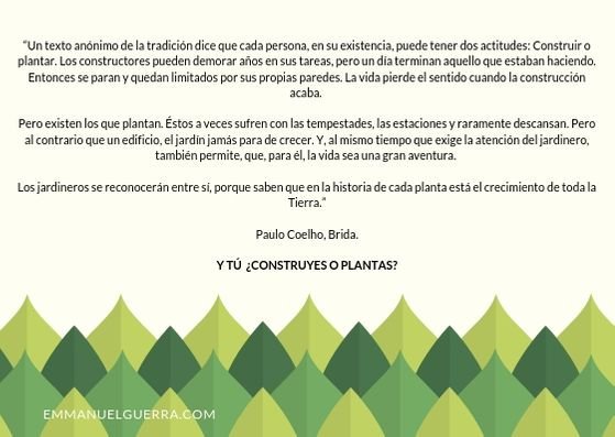 Y tú, ¿construyes o plantas? 

#Excelencia #Aprendizaje #Proceso #Aventura #Objetivo #Crecimiento