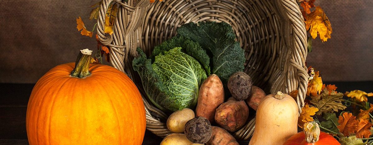 peoplexplanet's tweet photo. Un’#alimentazione priva di prodotti di origine animale potrebbe avere ripercussioni sulla #Salute cerebrale per la carenza di colina, molecola importante per lo sviluppo fetale.
Miriam Cesta ci spiega i dettagli di questo studio.
#cibo #vegano #vegetariano
https://t.co/e8vWUY5Yxj https://t.co/jgWYiWUR2Y