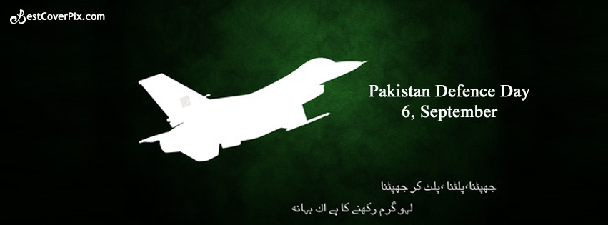 Syedarabihere's tweet photo. Tum hi se aye mujahido'n 
Jahan ka sabaat hy,
Shaheed ki jo moat hy wo qaum ki hayaat hy..💚
May Allah protect our country ameen..
🇵🇰💚
#DefenceDay2019 #kashmirsolidarity https://t.co/t6LC2dq0ZJ