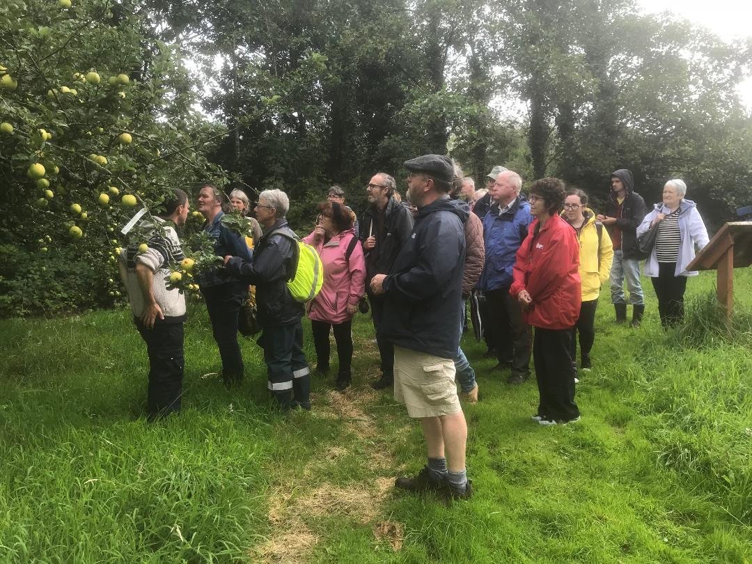 GrowingInGalway's tweet photo. Interesting fact @IrishSeedSavers maintains the country’s public seed bank with over 600 non-commercially available varieties of seed.Thanks for an enjoyable and hugely informative Heritage Garden and Orchard Tour. Left inspired to 'grow our own'. @HealthyGalway @HealthyIreland https://t.co/4TTsOiCVnS