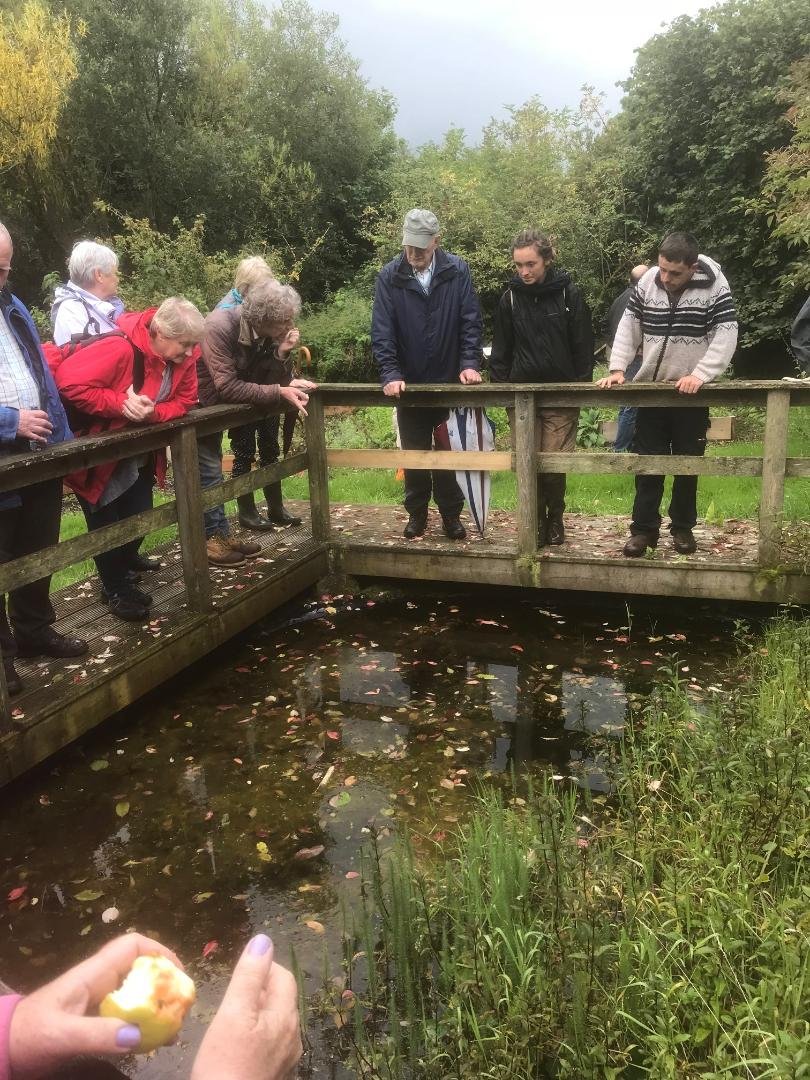 GrowingInGalway's tweet photo. Interesting fact @IrishSeedSavers maintains the country’s public seed bank with over 600 non-commercially available varieties of seed.Thanks for an enjoyable and hugely informative Heritage Garden and Orchard Tour. Left inspired to 'grow our own'. @HealthyGalway @HealthyIreland https://t.co/4TTsOiCVnS
