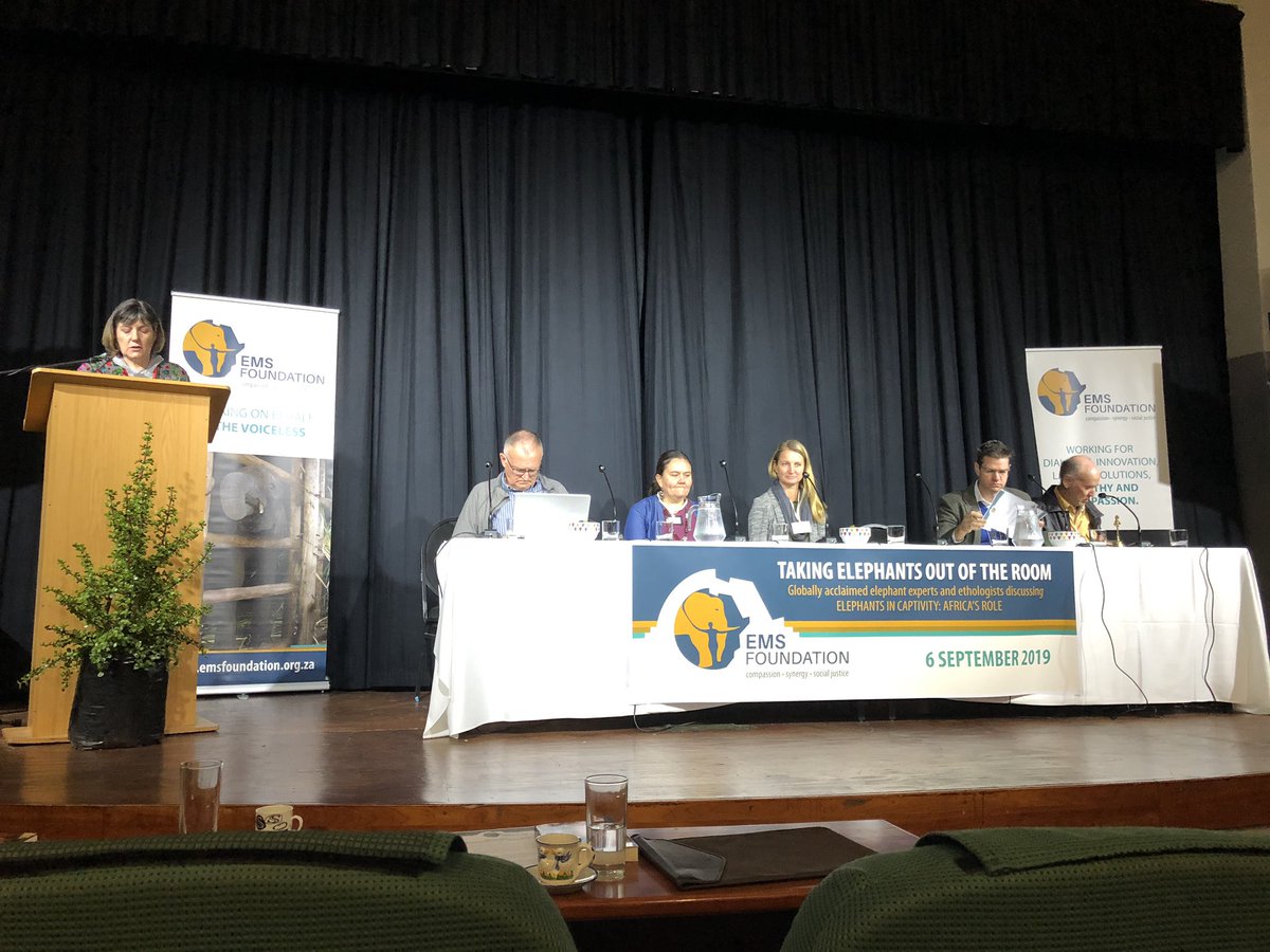 #TAKINGELEPHANTSOUTOFTHEROOM Opening address by Michele Pickover