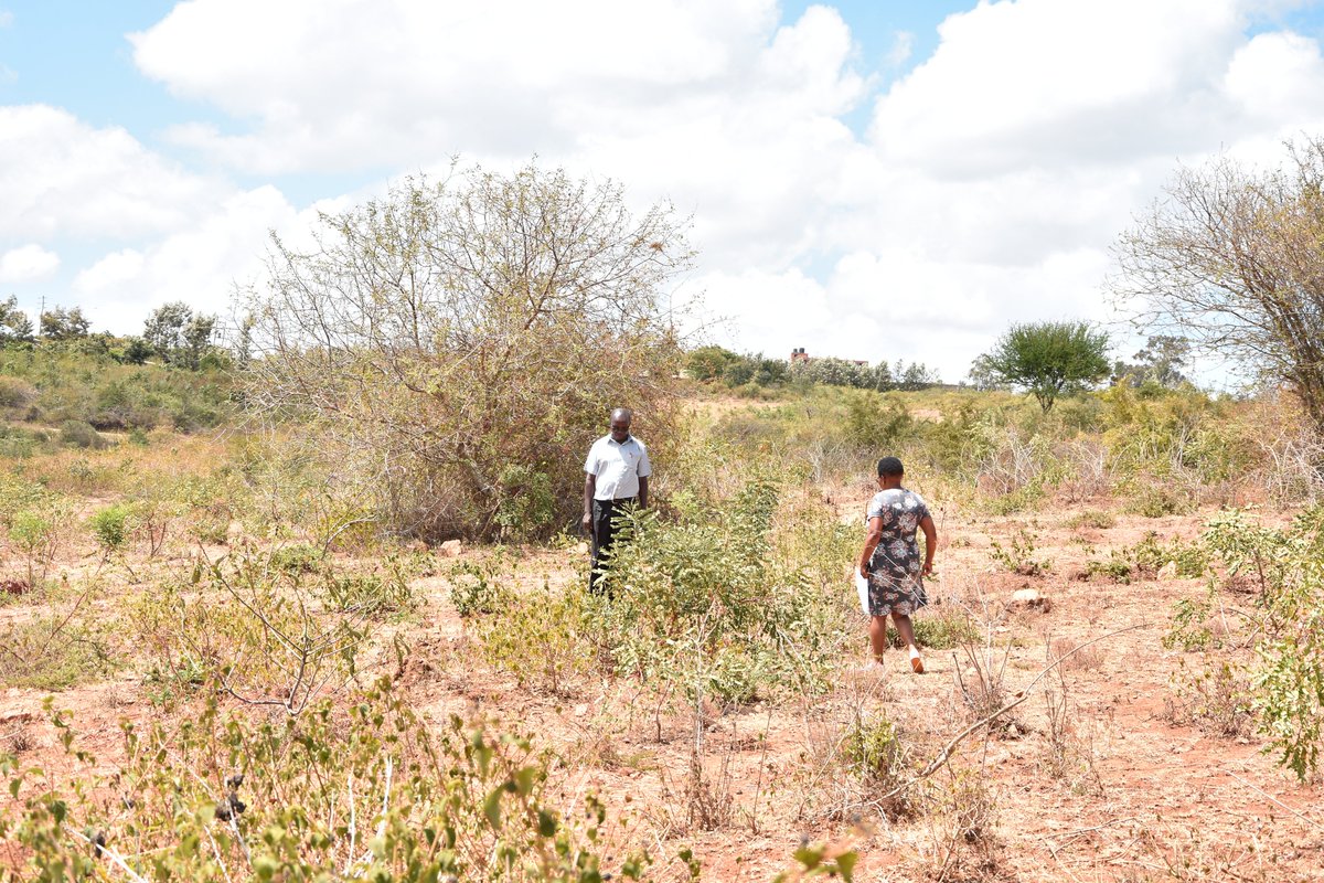 AngazaEstatesKE's tweet photo. Anytime a client walks into our offices, one of the main questions is whether we will take them to the site.We endeavor taking you to the site so that you can make an informed decision. 
A site visit to Matuu is not an exception.

100*100 @ 250K

Call us at 0792 948 881 today. https://t.co/PG93xGbMlJ