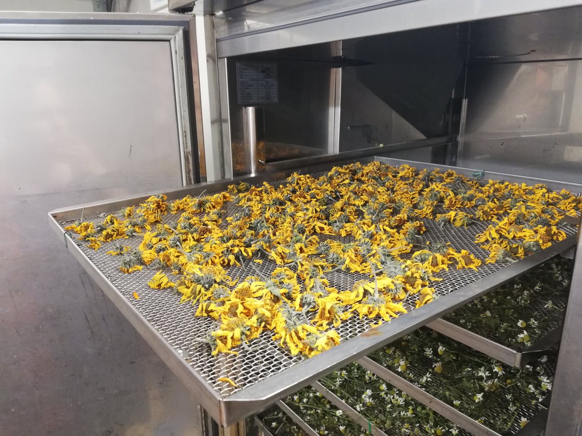 īsas pārdomas par savvaļas tēju ražotājiem. bit.ly/2lFJARM #postdoclatvia #wildproducts