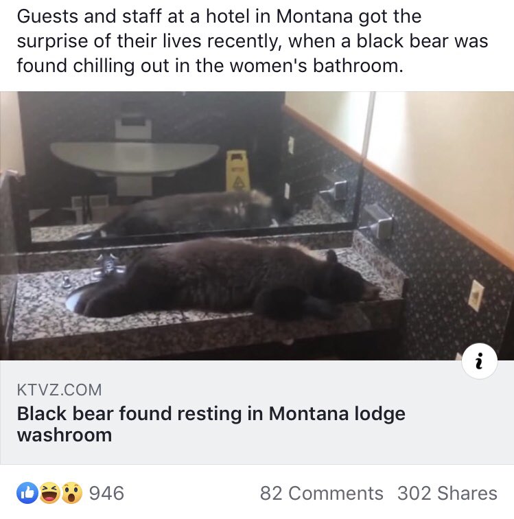 MysticalMiMi95's tweet photo. #justanotherdayinmontana https://t.co/HgwESjA2eI