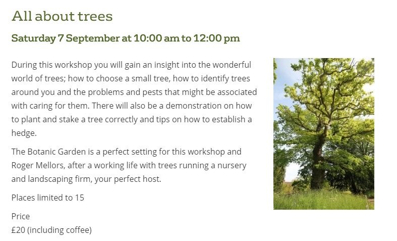 'All about Trees' Workshop with guide, Roger Mellors at @BrisBotanicGdn Sat 7th Sept, 10am-12pm. Book here: shop.bris.ac.uk/product-catalo… #Bristol #Trees @BristolUni @BristolBioSci