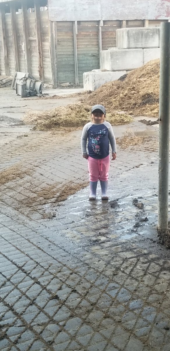 devandairy's tweet image. Evening chores with jr. Management