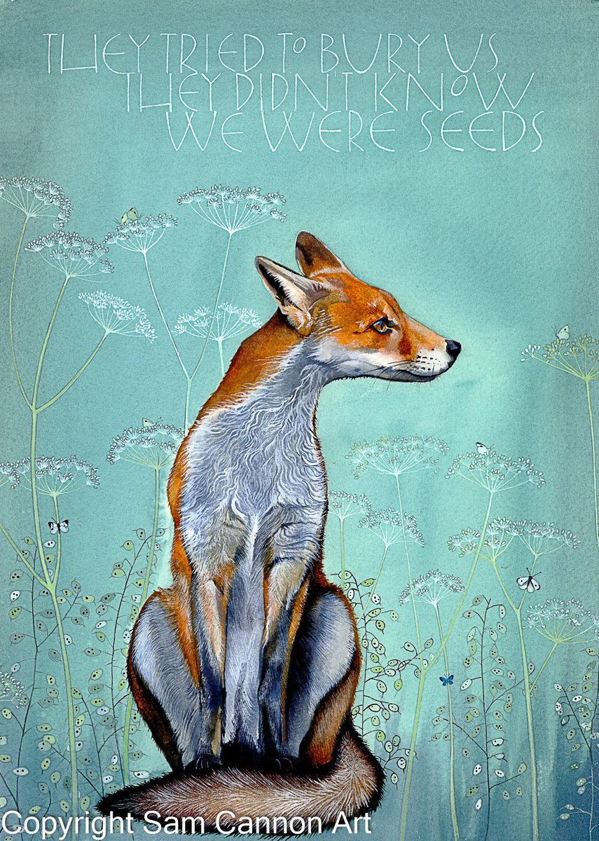 'They tried to bury us. They didn't know we were seeds.' Mexican Proverb.
#foxes #fox #foxart #originalwatercolour 
Finished yesterday.