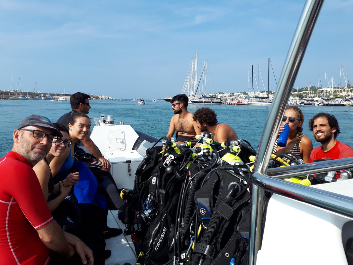 MERCES_eu tweet media