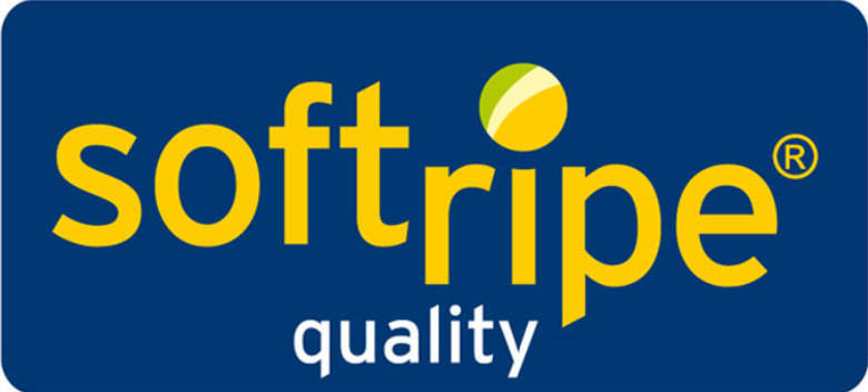 JDCoolingGroup's tweet photo. @soft_ripe's fantastic new website.  Softripe®, ripening as nature intended. https://t.co/by8Dm0WAJM 
#softripe #banana #avocado #mango #mangoes #ripening #revolution #fruitripening #innovation #ripeningrevolution #freshproduce #bananas #technology #fruits #fruit https://t.co/lxEQwnueD4