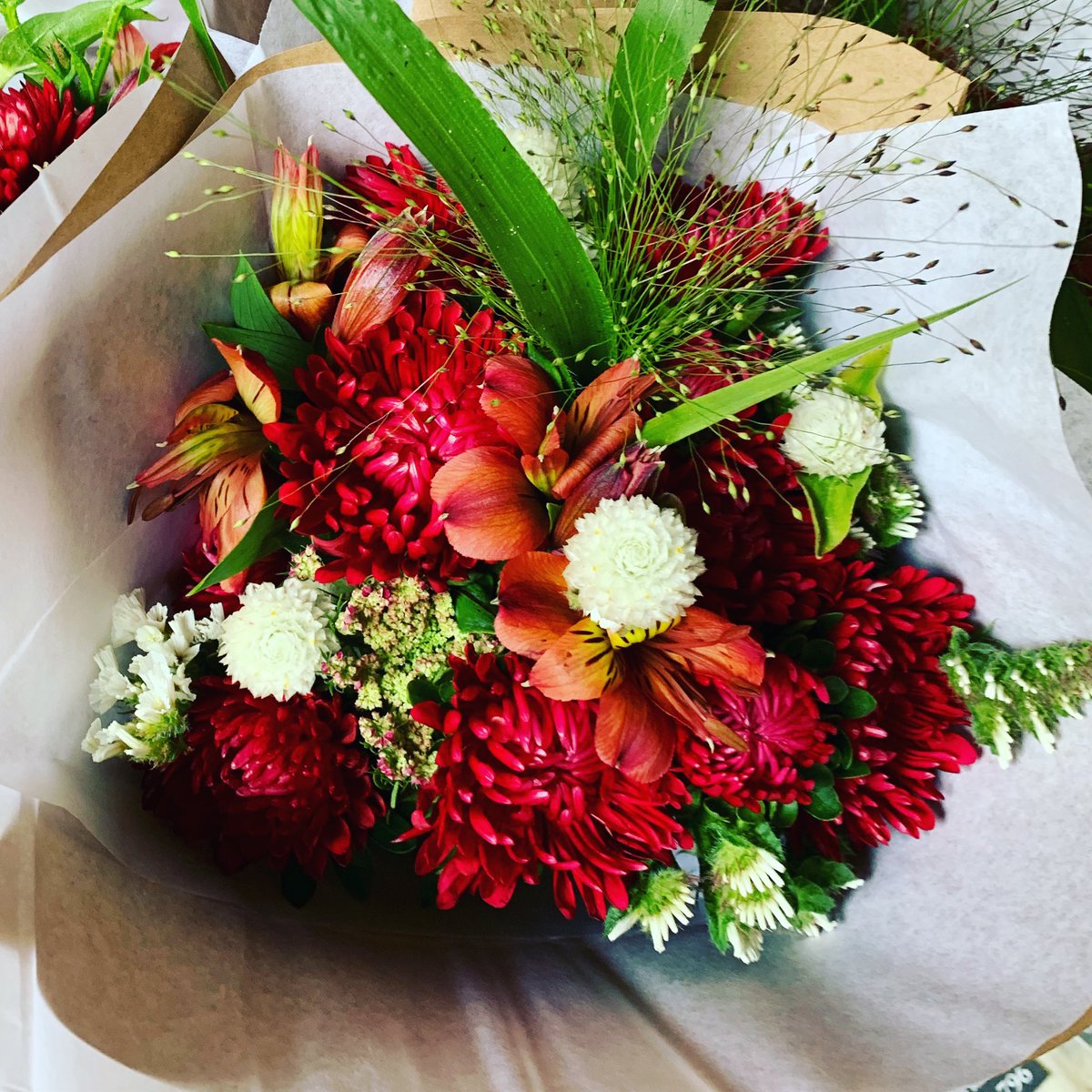 Forage and bloom tweet media