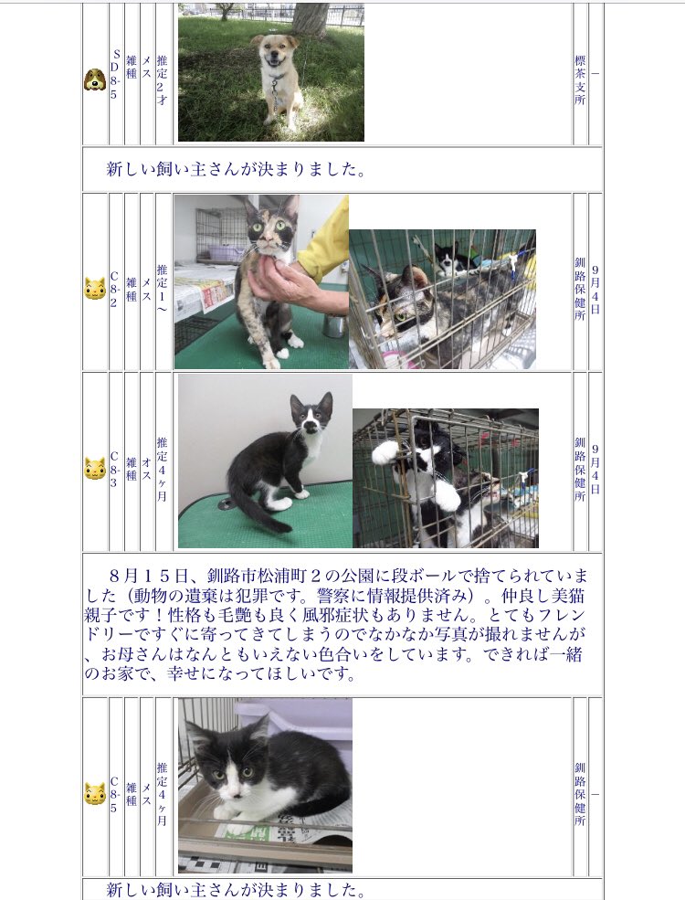 北海道 保健所 里親募集 Naogon Twitter