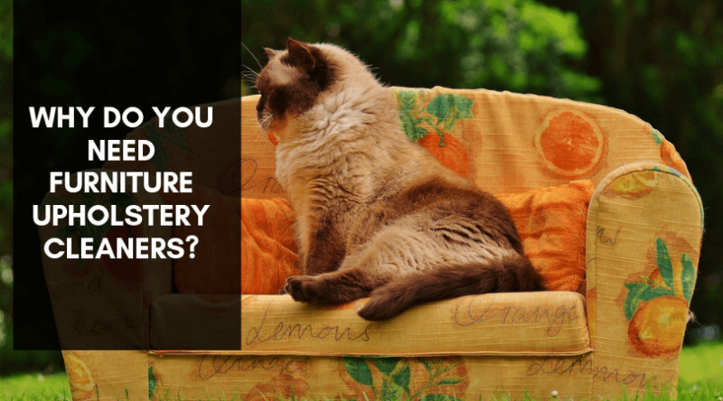 CleanNFresh3's tweet image. Why Do You Need Furniture Upholstery Cleaners?

#furnitureupholsterycleaners #upholsterycleaningservice #upholstery #professionalupholsterycleaning #bestupholsterycleaningcompany #upholsterycleaninginlongisland #longislandnewyork

lnkd.in/fgcPGZK