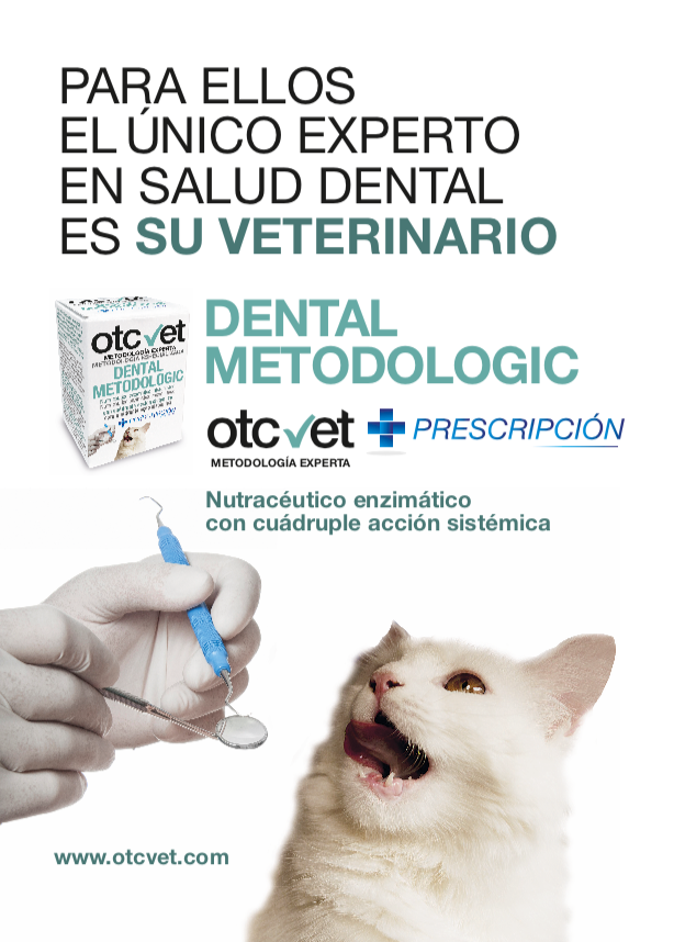 Para tu #gato el único experto en #Salud #dental es su veterinario bit.ly/2kxCw9H