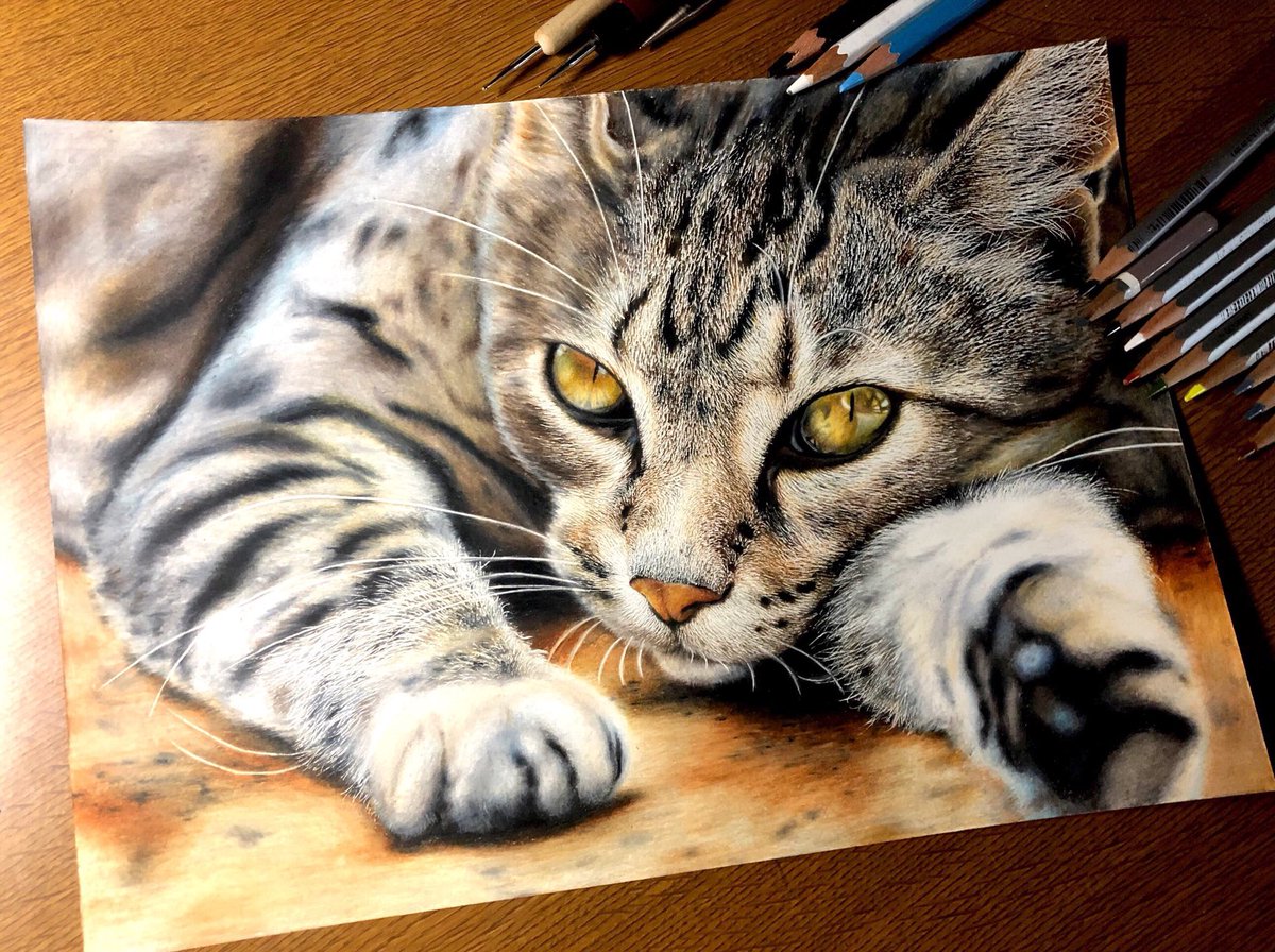 音海はる 9月になったのでフォロワーさんに自己紹介しようぜ ネコ科の動物を色鉛筆で 全力で楽しむをモットーに