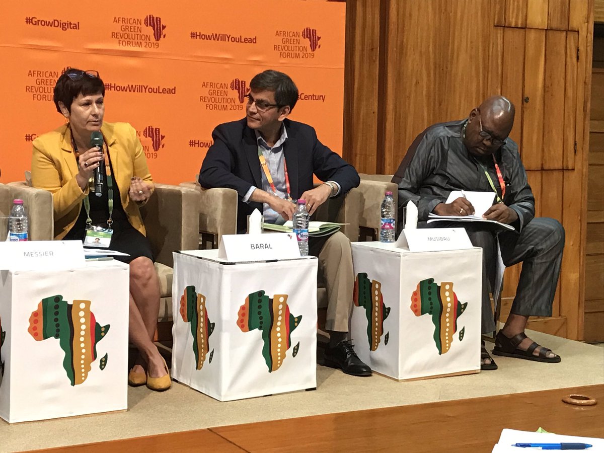 Strong partnerships between <a href="/Cipotato/">International Potato Center</a>, <a href="/irri/">IRRI 🌾</a>, <a href="/IITA_CGIAR/">IITA</a>, <a href="/CIAT_/">CIAT</a> , national partners and <a href="/HarvestPlus/">HarvestPlus</a> are scaling up availability of #biofortified foods to tens of millions of people worldwide says <a href="/HarvestPlus/">HarvestPlus</a>’s Arun Baral #CGIARatAGRF #AGRF2019