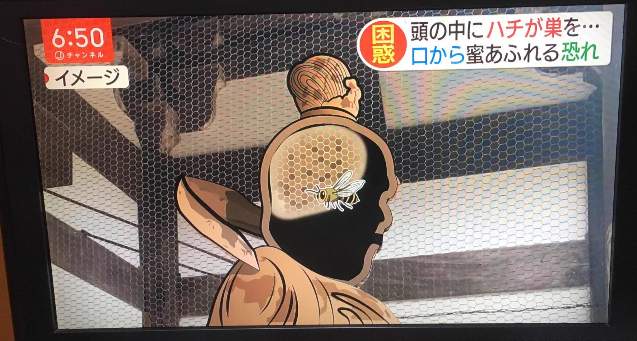 仁王の頭の中にハチの巣を作っていた！！これなら天敵は誰もいない！！