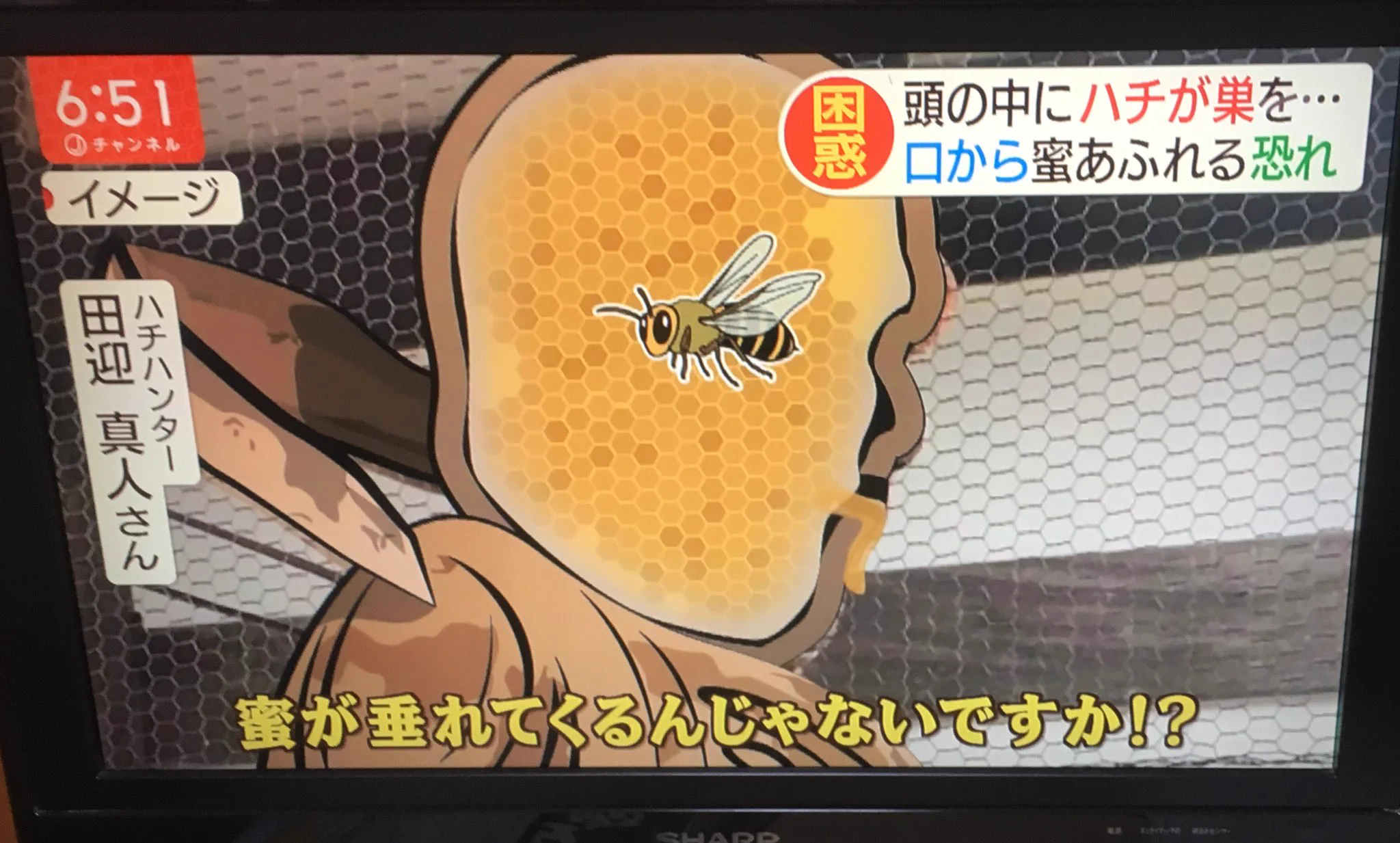 仁王の頭の中にハチの巣を作っていた！！これなら天敵は誰もいない！！