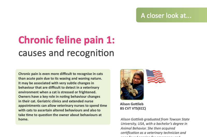 ISFMcats's tweet photo. In this month’s #FelineFocus nursing journal Alison Gottlieb discusses the causes of chronic pain as well as the difficulties in identifying it due to the nature of feline behaviour: https://t.co/yxXnCPeuoL 

Not a member? Join now: https://t.co/w9qy5bkE5i https://t.co/M3Kzpl6WUg