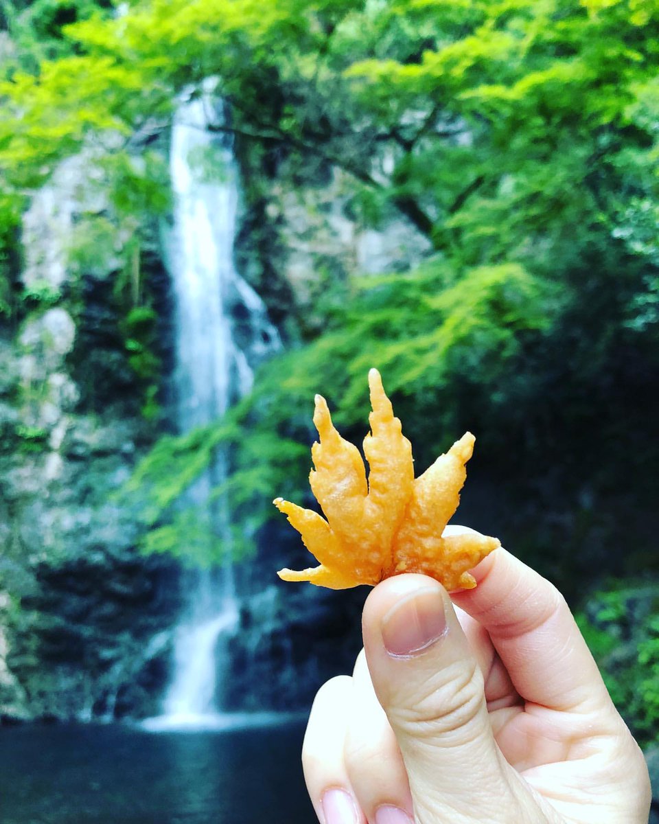 SHIKIBU_Automat's tweet photo. W-what?!😱 Japanese eat maple leaves? Edible maple in Japan🍁
In Minoh city(箕面市), Osaka, Japan, we'll make maple tempura and sell it to tourists in Autumn.
OFC, the maple used in the tempura is edible maple.
はっ?!😱モミジの天ぷら?🍁
大阪人ならもちろん知ってるモミジの天ぷら。 https://t.co/Je5xhleBxg