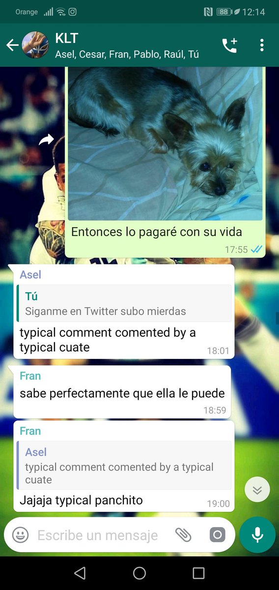 León Svetliza Casco tweet media