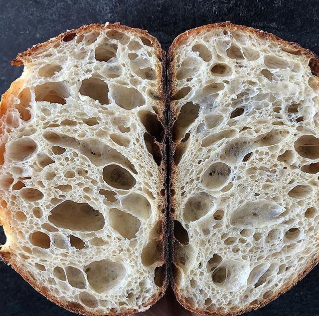 LNsupplements's tweet photo. This weeks #fermentedfriday goes to @breadstalker_ for this beautiful sourdough bake 🍞 Tag us in your creations and share the #fermentation love 💜 #livingnutrition #sourdough #sourdoughseptember https://t.co/EbNkXS1k0o https://t.co/Zy6uoDEwgX