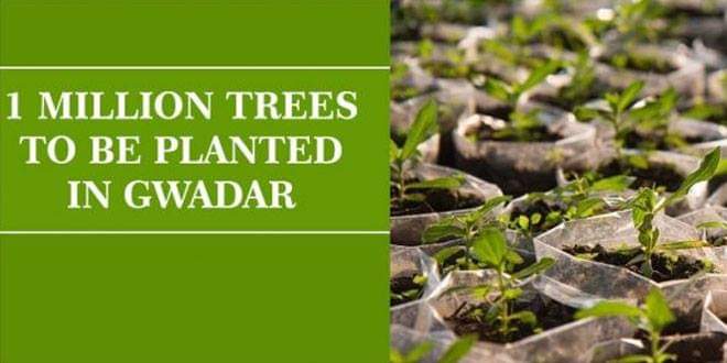 shahsabg's tweet image. China #COPHC will plant one million trees in Gwadar under the 10 Billion Tree Tsunami project,government wanted Gwadar to be fully established as a clean and green city so that the city could be an example not only for other cities of Pakistan but all around the world.
@IrSaadia