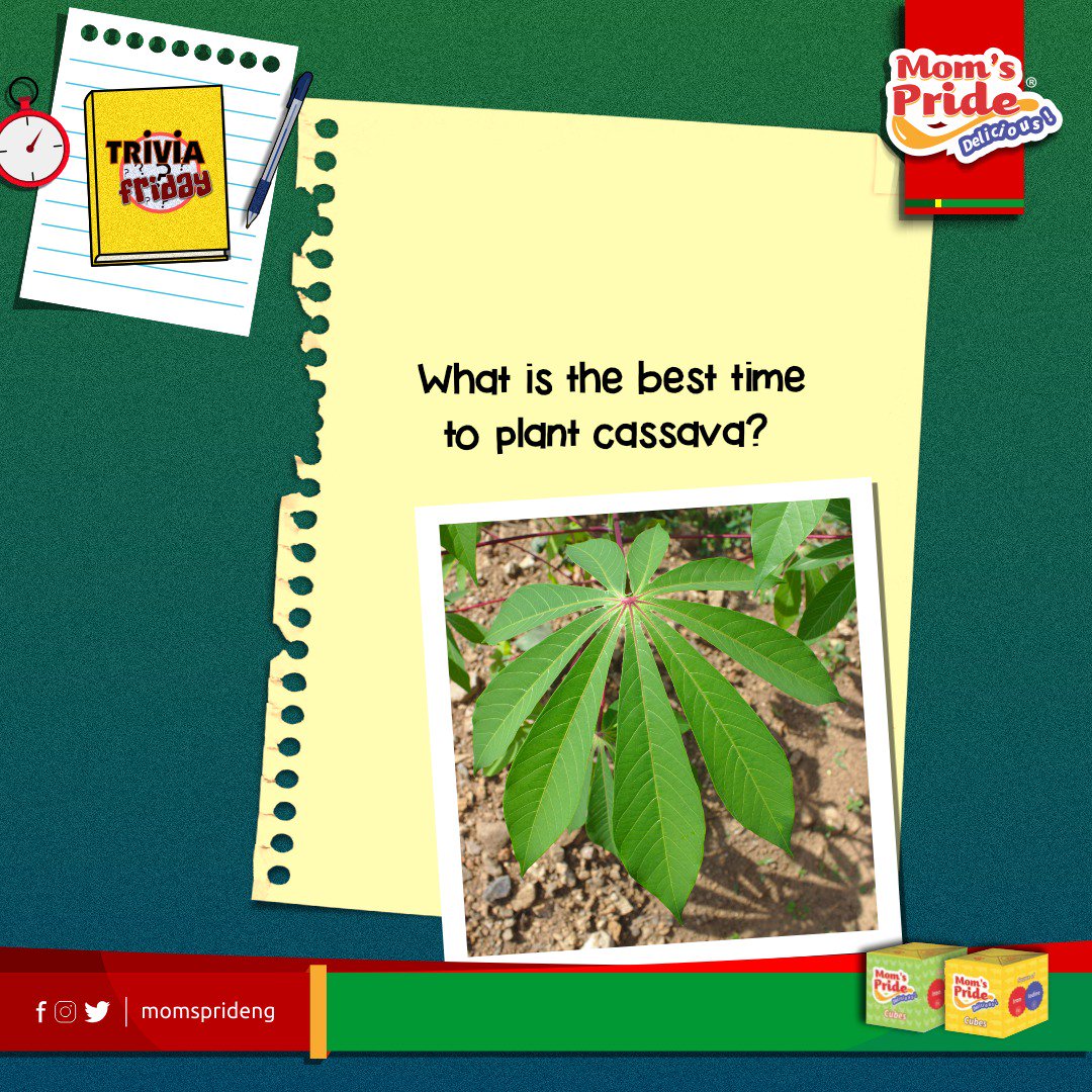 MomsPrideNG's tweet photo. #TriviaFriday is here again! 😁

#TriviaQuestion: What is the best time to plant cassava?

Drop your answers in the comment thread asap. 🤗👍

#TastyFoods
#DeliciousMeals
#MomsPrideSeasoning https://t.co/KqieL7tVvI