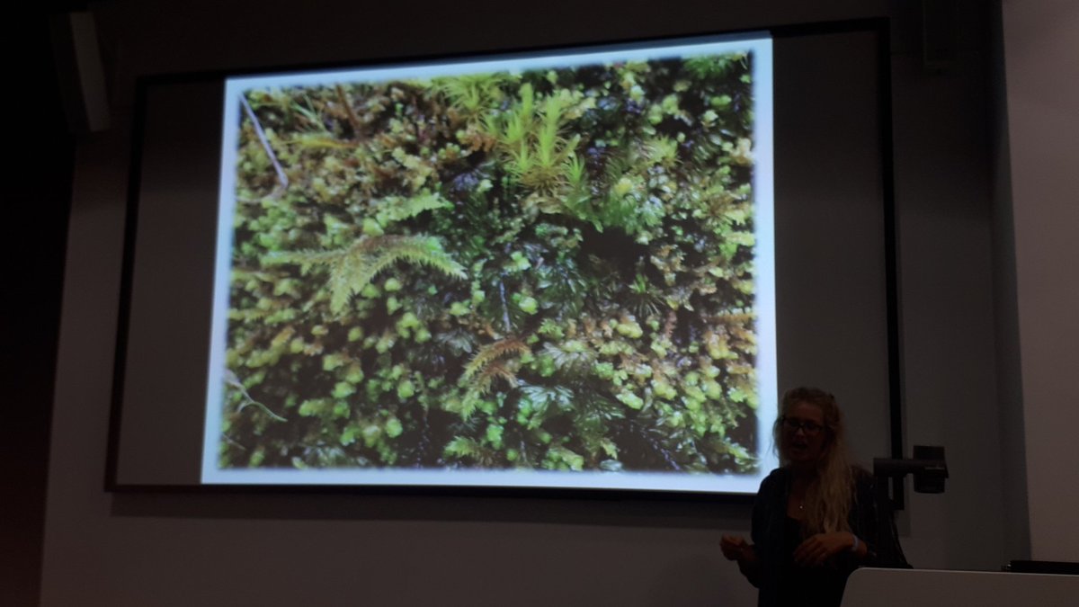 TheDoctor_TOS's tweet photo. Great to hear from fellow #IDTrainer @aprilwindle who is passionate about #Bryophytes and since finishing now works @Love_plants and runs a learning and public engagement programme for #LookingOutforSmallThings around #LowerPlants #NowForNature https://t.co/h5Hl4EtIoL