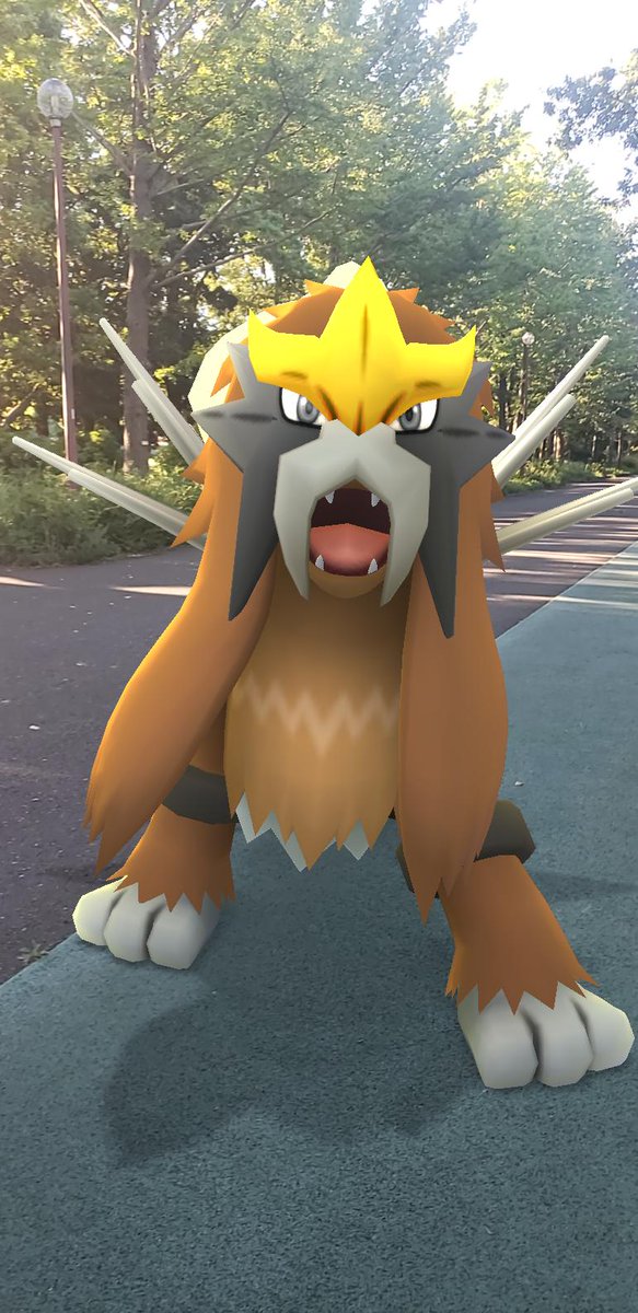 ジン ポケモンgo ドラクエウォーク 三犬色違いでgoスナップショット撮影しました ポケスナップショット ポケモン Go ポケ活 三犬 スイクン ライコウ エンテイ ジン ポケモンgo ドラクエウォーク 三犬色違いでgoスナップショット撮影しました ポケスナップショット ポケモン Go ポケ活 三犬 スイクン ライコウ エンテイ