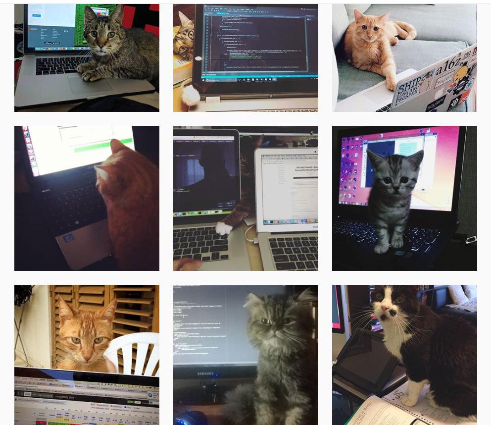itsashleighhyo's tweet image. There's a hashtag on Instagram for cat coders and it is honestly giving my lifeeee today 😻😻😻
instagram.com/explore/tags/c…
#catcoder #CatsOfTwitter #catsofinstagram #softwaredevelopment