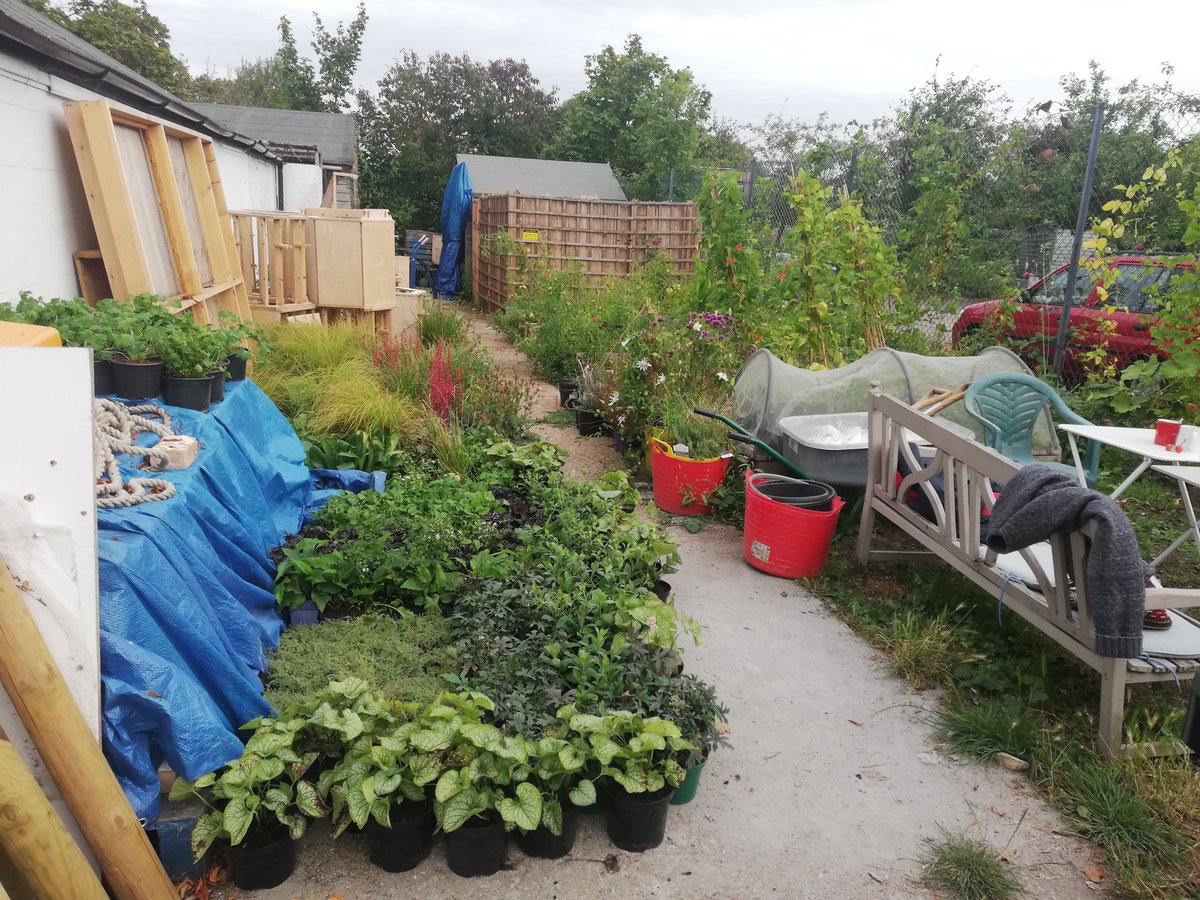 Plants for new bee friendly verges at New Malden Station have just arrived at our Suburban Farm of Futures.
Community planting event tmrw from 12-3pm. Meet outside the front of New Malden Station.
thecommunitybrain.org/shedx-events
@LordScroley <a href="/communitybrain/">The Community Brain</a> @WorfieldPlants <a href="/RBKingston/">Kingston Council</a>
