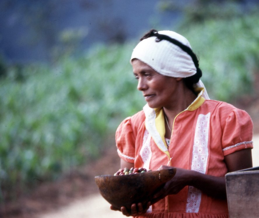 Retrato de una mujer tidza’ / #zapoteca durante la pizca de café en la comunidad de Tanetze de Zaragoza, región Sierra Norte, #Oaxaca.
📷: Ramón Jiménez, 1978, #FototecaNachoLópez.
#AcervosINPI