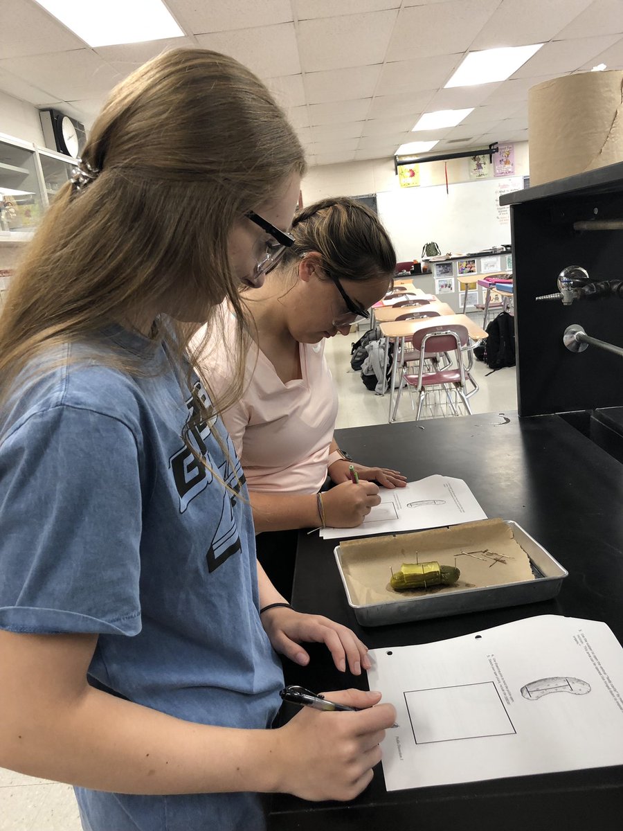 WWHS Science tweet media