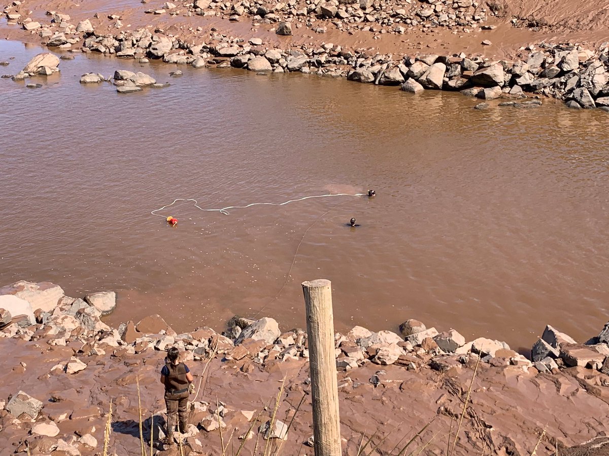 CEL_Acadia's tweet image. Today’s field work consisted of cold and murky snorkelling to find a buried receiver. Success! #trackingnotslacking #muddywork