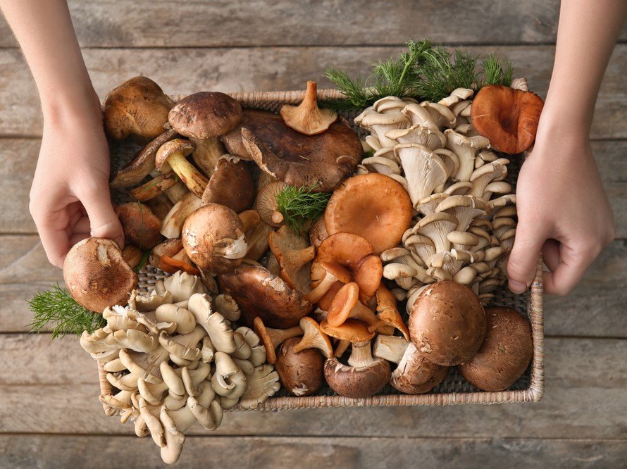 GetFreshProd's tweet image. September is National Mushroom Month and the perfect time to enjoy the exotic foraged varieties available from @ToJoMushrooms and @GetFreshProd. IMPORTANT: Get your mushrooms from a reputable source - all mushrooms are edible; some mushrooms are only edible once. 😱.
#freshfriday