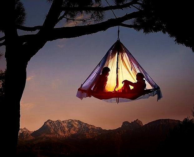 lorax58's tweet image. #TreeTent