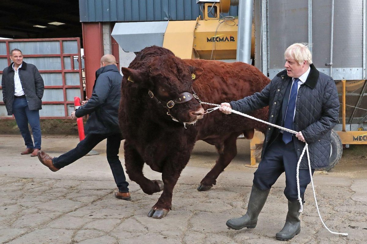 Disbands Parliament b/c he knows nobody backs his #Brexit strategy. 

Loses Tories' working majority on LIVE BROADCAST. 

Continues illicit arms sales to #SaudiArabia. 

Licks the boots of Bibi Netanyahu and his pet orangutan. 

Not off to a good start, Boris.

#BollocksToBoris